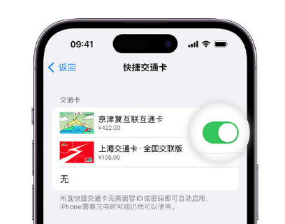 古田apple维修点分享iPhone上更换Apple Pay快捷交通卡手绘卡面 