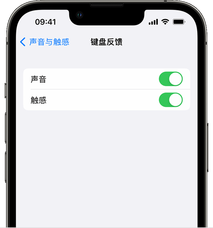 古田苹果14维修店分享如何在 iPhone 14 机型中使用触感键盘 