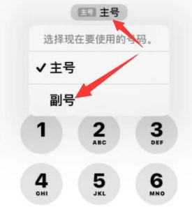 古田苹果14维修店分享iPhone 14 Pro Max使用副卡打电话的方法 