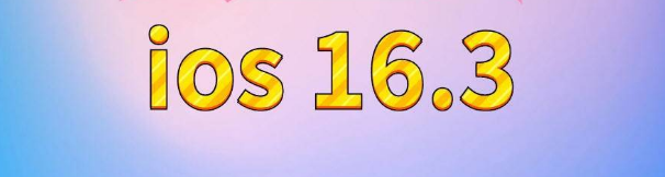 古田苹果服务网点分享苹果iOS16.3升级反馈汇总 