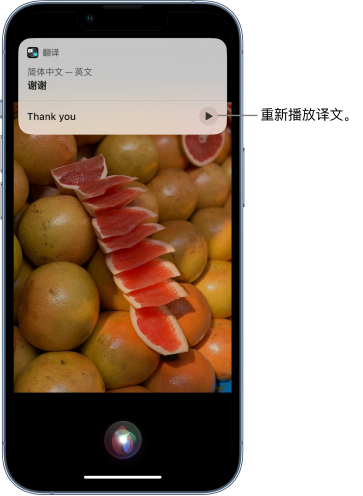 古田苹果14维修分享 iPhone 14 机型中使用 Siri：了解 Siri 能帮你做什么 